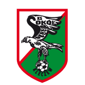 https://img.tiaroo.com/img/football/team/e6a8908dd206e2ea02d9803c82c60bba.png